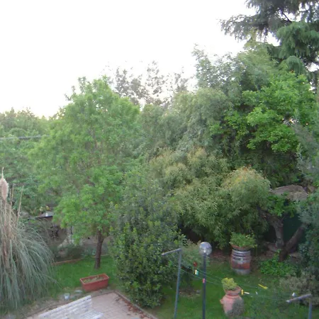 Oda ve Kahvaltı Sandy