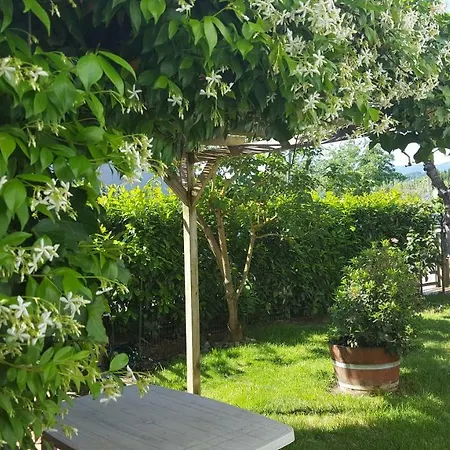 Sandy * Figline Valdarno