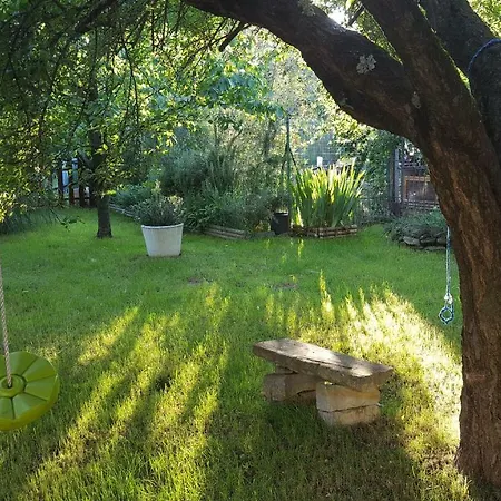 Oda ve Kahvaltı Sandy
